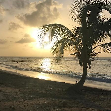 Studio Tahiti Vue Mer Сен Франсоа Екстериор снимка