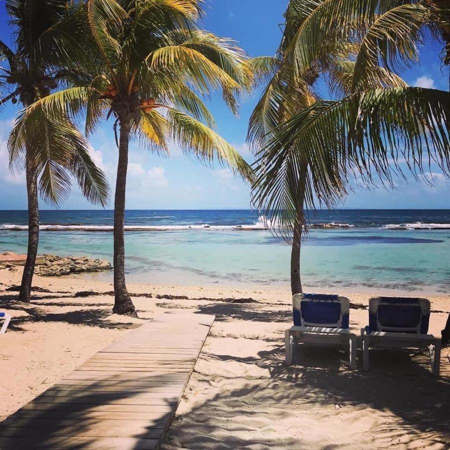 Studio Tahiti Vue Mer Сен Франсоа Екстериор снимка